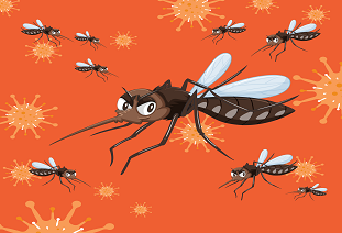 Mosquito-borne Diseases